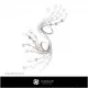 Brooch Sketch-Jewelry Design Jewelry Sketches