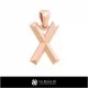 3D CAD Pendant With Letter X Home, Bijuterii 3D , Pandative 3D CAD, Pandativ cu Litere 3D 